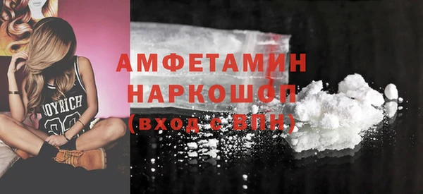 индика Горнозаводск