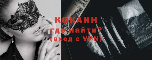 apvp Горняк