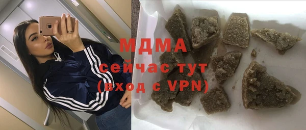 индика Горнозаводск