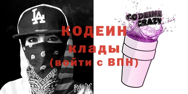 индика Горнозаводск