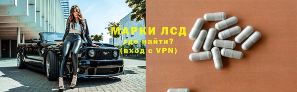 индика Горнозаводск