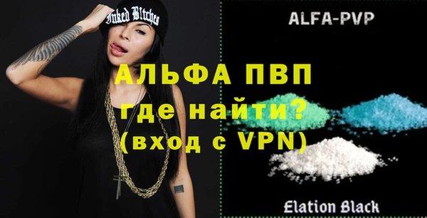 индика Горнозаводск