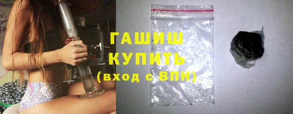 индика Горнозаводск