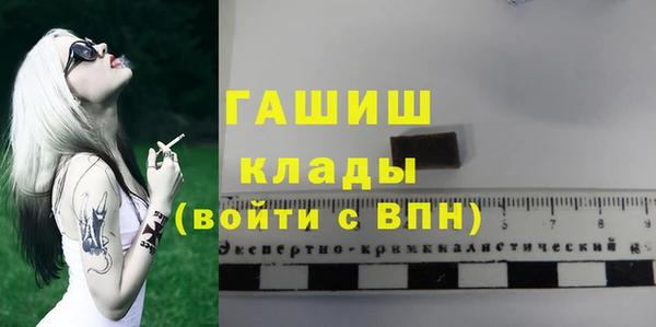apvp Горняк