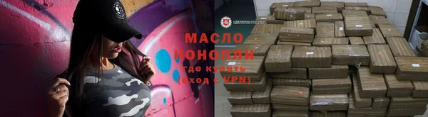 гашик Вяземский