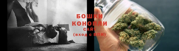 apvp Горняк