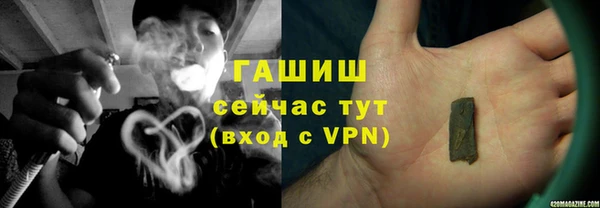 индика Горнозаводск