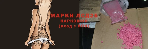 индика Горнозаводск
