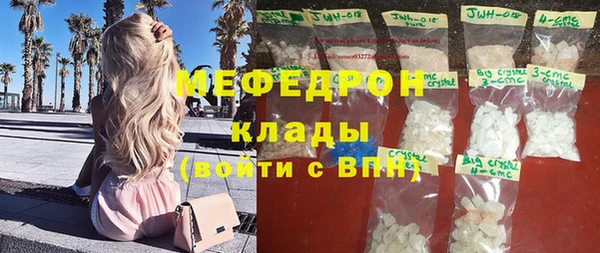 индика Горнозаводск
