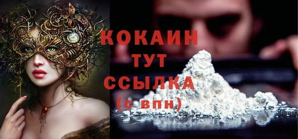 apvp Горняк