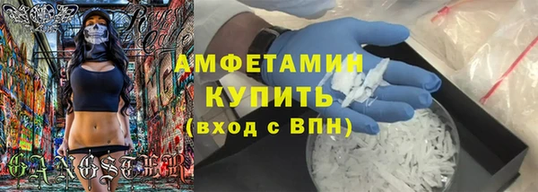 индика Горнозаводск
