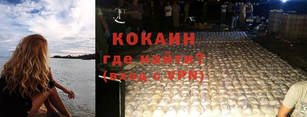индика Горнозаводск
