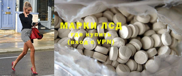 индика Горнозаводск