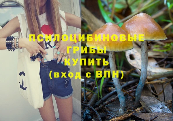 apvp Горняк