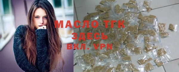 индика Горнозаводск