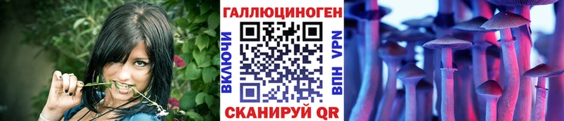 купить   Новомосковск  Псилоцибиновые грибы ЛСД 