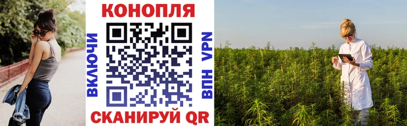 дарнет шоп  Новомосковск  Каннабис сатива 